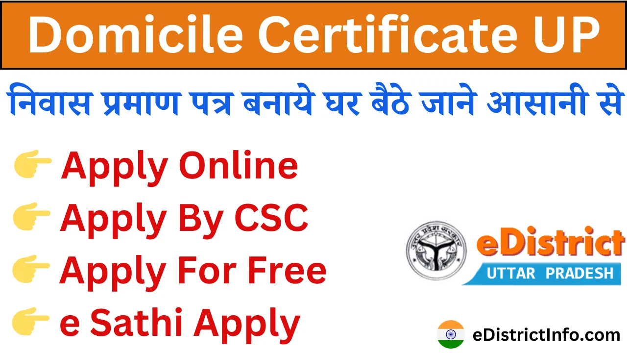 UP Domicile Certificate