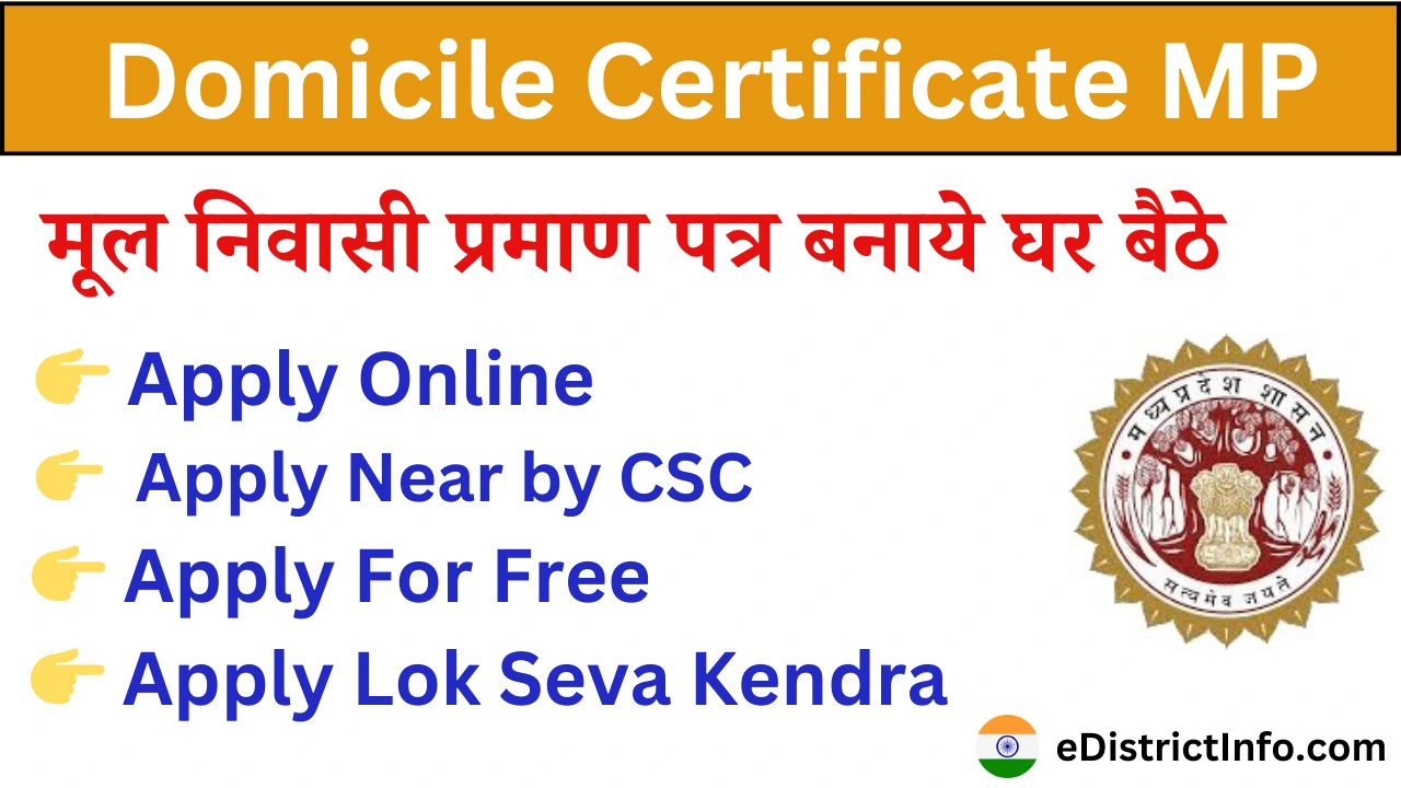 Domicile Certificate mp